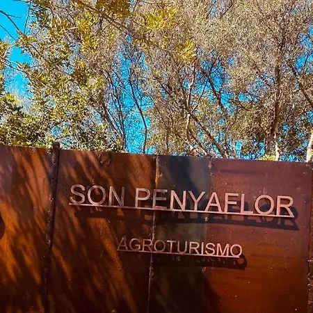 Son Penyaflor Casa di campagna