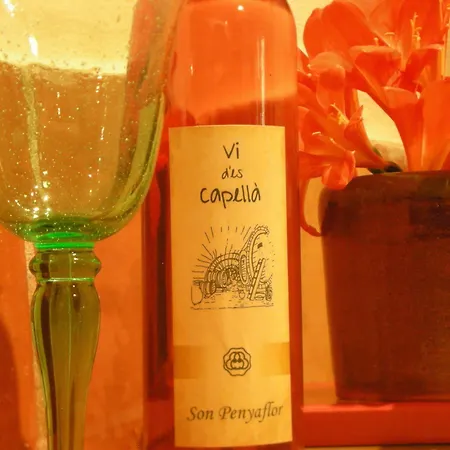 Casa di campagna Son Penyaflor Alaró